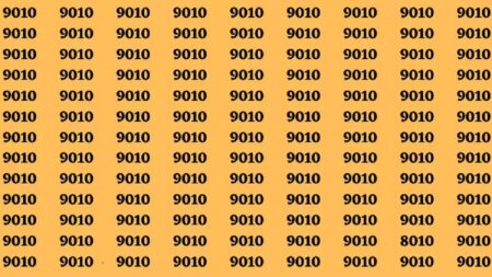 Možná potřebujete brýle: K očnímu nemusíte, odhalí to tato optická hádanka. Stačí najít odlišné číslo