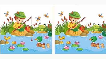 Školáci to zvládají, dospělí mají problém: Najít 2 rozdíly na tomto obrázku je pro většinu nadlidský úkol