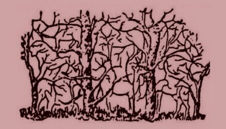 Kolik jste na tomto obrázku našli zvířat? Konečné číslo prozradí překvapivou pravdu o vaší osobnosti