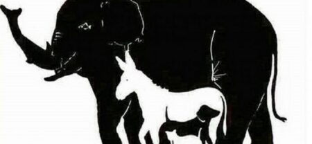 Optická hádanka, na které pohořelo mnoho Čechů: 99 % lidí nedokáže na tomto obrázku najít všechna zvířata