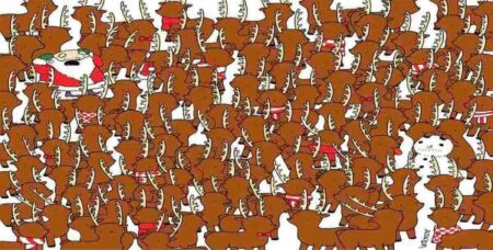 Test pozorovacích schopností: Jen lidé se zdravým zrakem najdou na obrázku medvěda