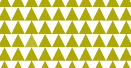 Najít odlišný trojúhelník na obrázku je téměř nadlidský úkol: Tento úkol zvládnou jen lidé s dokonalým zrakem