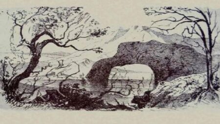 Vizuální test z rok 1932 dělá lidem problém dodnes: Nachází se na něm 10 zvířat, málokdo jich však najde alespoň 6 z nich