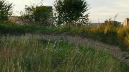 Optická hádanka, která rozdělila internet. Téměř nikdo nedokáže na tomto obrázku najít skrytého králíka