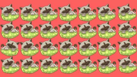 Tuhle hádanku řeší děti v 1. třídě, dospělým ale dělá problém. Vaším úkolem je najít do 15 sekund rozdíl na obrázku