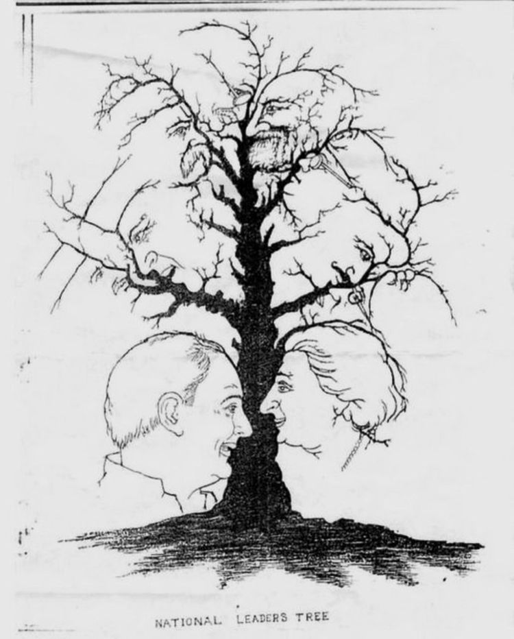 Strom s tvářemi