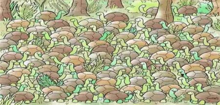 Tuto iluzi prohlédne jen málokdo. Najít hada na obrázku zvládlo jen 0,3% lidí