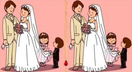 Téměř 98 % Čechů na tomto testu pohořelo: Najít 3 rozdíly do 20 vteřin je téměř nadlidský úkol