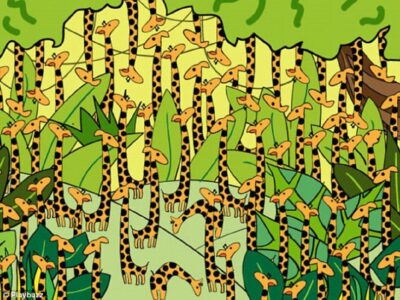 Test zdraví mozku: Kdo nenajde hada, pravděpodobně jeho mozek nefunguje správně