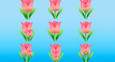 Najdete na obrázku všechny květiny bez toho, aby vás rozbolela hlava? Je jich tam rozhodně více, než tušíte