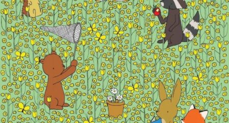 Najít včelu na louce dokáže do 10 sekund jen 0,74 % lidí: Zařadíte se mezi jedince, kterým tato optická výzva nedělá problém?