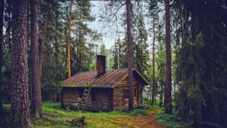 Nepotřebujete brýle? Pokud nenajdete na fotografii opici do 30 sekund, měli byste zvážit návštěvu očního