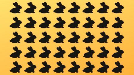 Na obrázku se nachází králíček, který tam nemá co dělat. Dokážete ho rozeznat dříve, než uplyne 15 sekund?