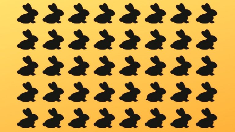 králíci uši čumák