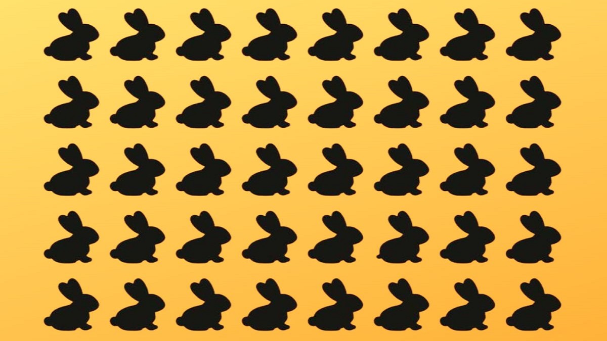 Na obrázku se nachází králíček, který tam nemá co dělat. Dokážete ho rozeznat dříve, než uplyne 15 sekund?