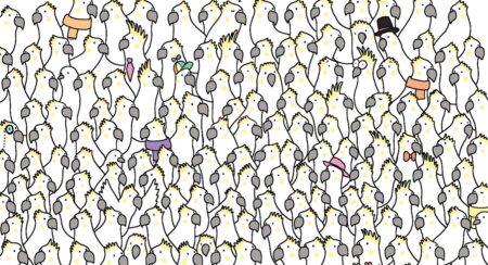 Je to vůbec možné? Najít 4 holuby na tomto obrázku do 15 sekund je téměř nadlidský úkol