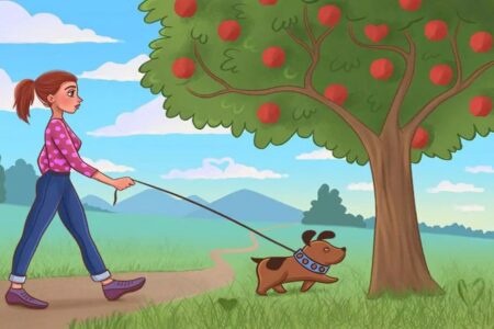 Test všímavosti pro dnešní den: Dokážete na obrázku najít do 20 sekund všechna zatoulaná srdce?