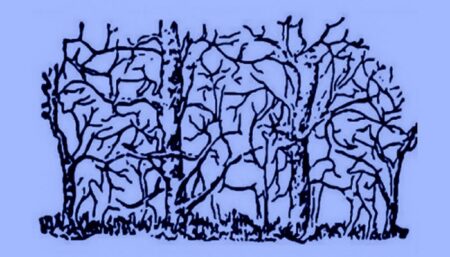 Psychologický test: Počet zvířat, která najdete na tomto obrázku, prozradí děsivé skutečnosti o vaší osobnosti