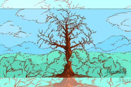 Test pozorovacích schopností: Jen Češi s ostřížím zrakem dokáží na obrázku najít všechny tváře. Zvládnete to za 60 sekund?