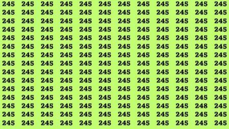 Máte opravdu oči, kterým neunikne žádný detail? Můžete si to vyzkoušet a najít tady odlišné číslo