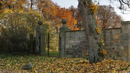 Lidé s nadprůměrnou inteligencí nemají problém odhalit na tomto obrázku ženu. Patříte mezi ně i vy, nebo to nezvládnete?