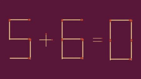 Harvardský test se zápalkami: Jen lidé s IQ 120 dokáží sirkou pohnout tak, aby rovnice dávala smysl