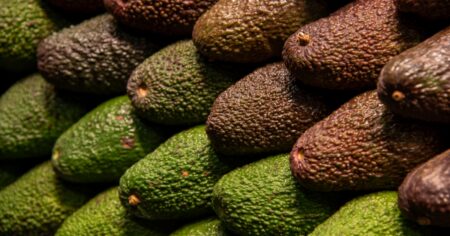 Víc než 10 sekund vám dát nemůžeme: Kdo nenajde odlišné avokádo, měl by kontaktovat očního lékaře