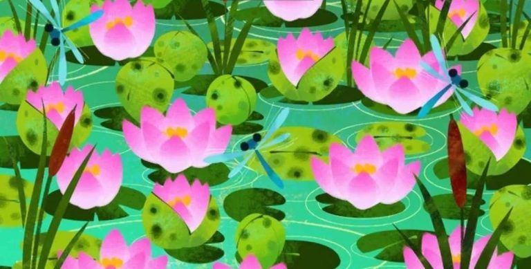 Optický test s ukrytou žábou