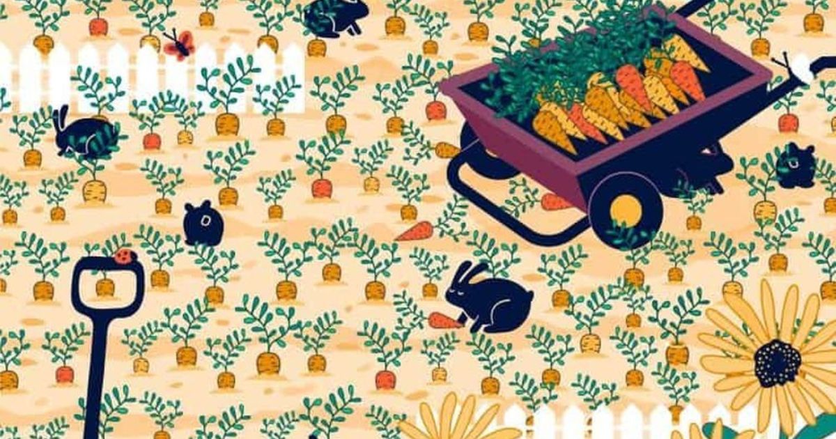 Někam se zatoulal snubní prsten, najít ho ale pořádný oříšek. Statistika mluví jasně, 98 % lidí to nezvládlo