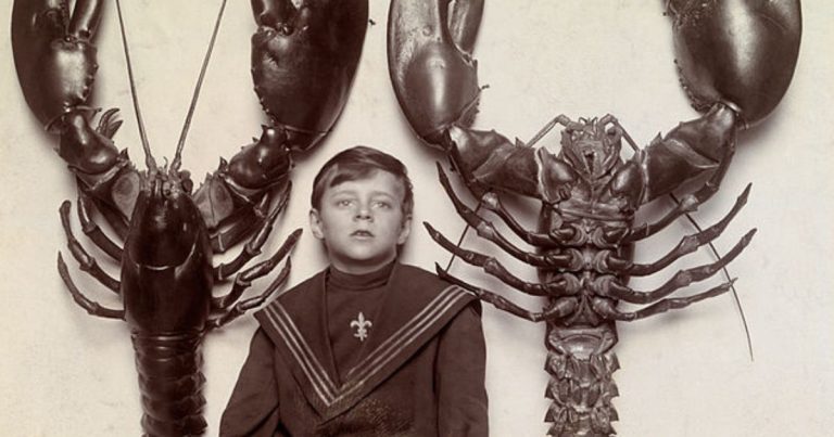 Lobster Boy