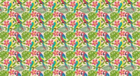 Jedna z nejtěžších vizuálních hádanek na světě: Většina lidí u ní začíná pochybovat o své inteligenci. Najdete schovaného chameleona?