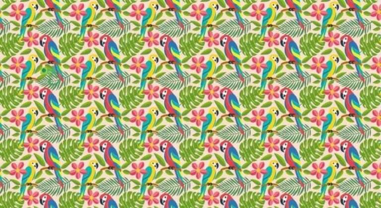 Hledání skrytého chameleona