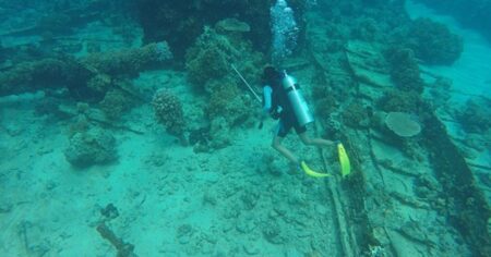 Na dně moře našel zvláštní kámen, vyklubala s z něj římská loď plná impozantních artefaktů