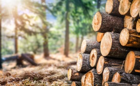 7 možností, jak si usnadnit vytápění dřevem