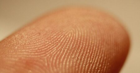Proč vlastně máme otisky prstů: Údajně fungují k lepšímu úchopu věcí