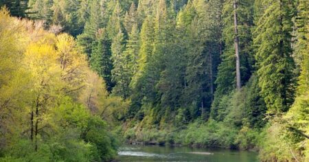 Pohoří Alderpoint: Lidé tu mizí v takzvaném smaragdovém trojúhelníku a nikdo neví kam