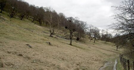 Záhada Blair Witch: V lesích měla strašit čarodějnice, důkazy však neexistují