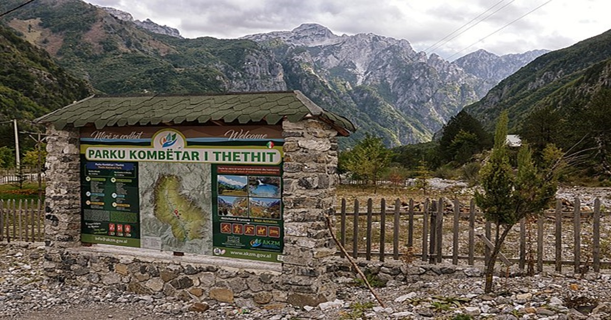 Smutný osud českých studentů v Albánii: Údajně se měli stát oběťmi obchodníků s lidskými orgány