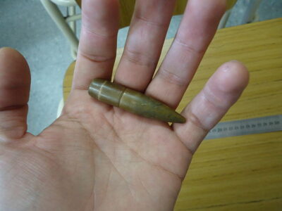 Podivuhodný případ Paula Kerna: Přežil kulku do hlavy, pak 40 let nemohl usnout