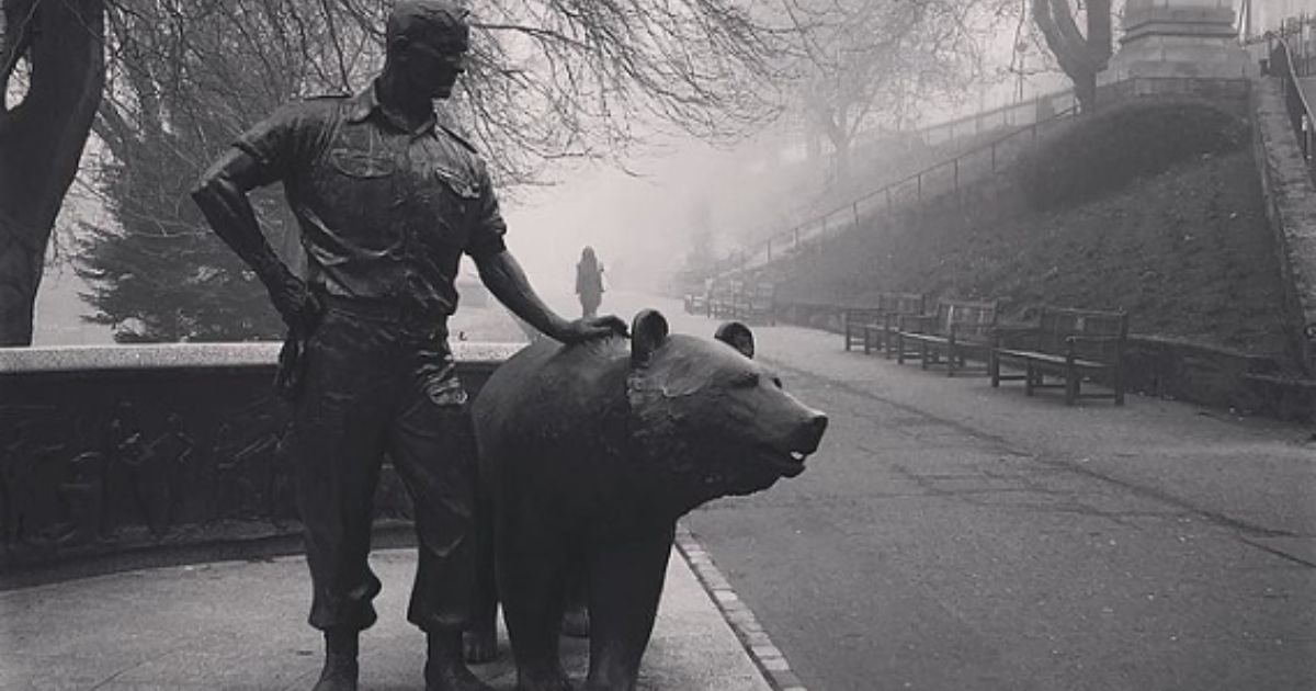 Desátník Wojtek: Medvěd, který vojákům nosil munici, spal s nimi ve stanu a pil s nimi pivo