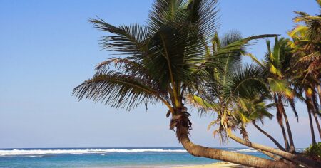 Češi mají nové vysněné místo na dovolenou. V zimě tu teplota neklesne pod 30 °C a ceny jsou jako v ČR před 20 lety