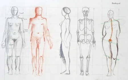 Kvíz: Lidské tělo ze základky. Vědomosti, které jsme se učili jako děti, dnes většina dospělých nezvládá