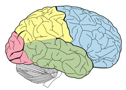 Kvíz: Logické myšlení a IQ chytáky. Vysoké skóre je tady jasným znakem intelektuální převahy
