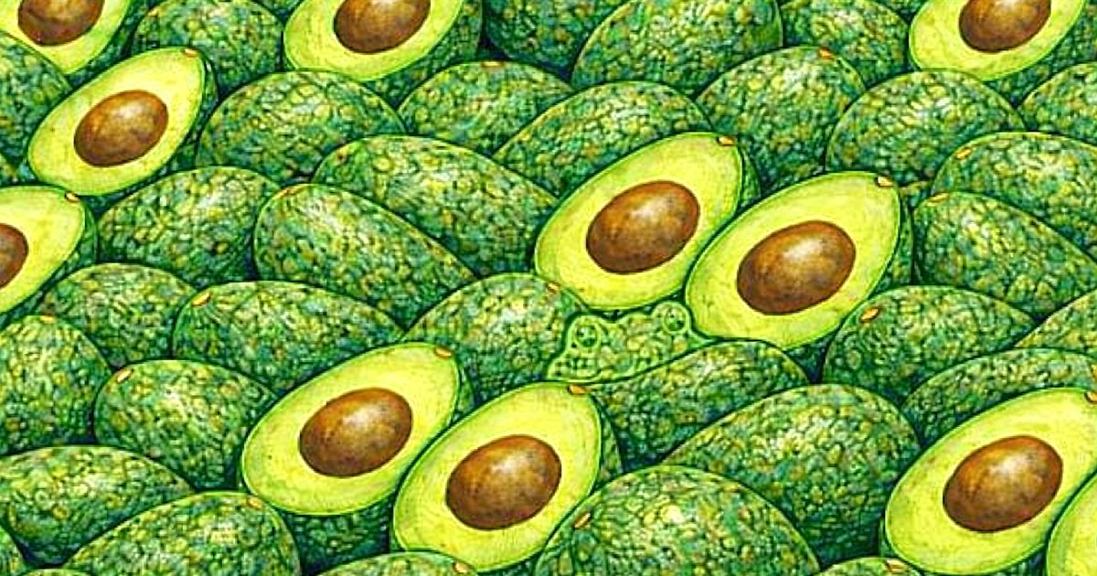 Tahle hádanka pořádně zamotá hlavu 98 % lidí. Kdo ji zvládne do 7 vteřin, má IQ jako Einstein