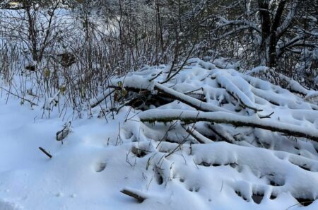 Dosavadní prognózy meteorologů dostaly na frak. Očekávaná změna počasí bude prudší, než se čekalo