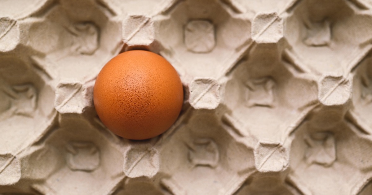 Z obyčejného nákupu pohádka: V supermarketu našla vejce za desítky tisíc. Šance byla 1 ku 1 miliardě