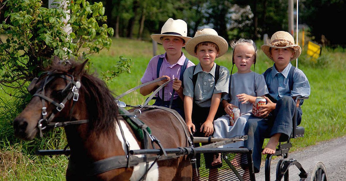 Útěk od moderního světa? Amišové dokazují, že jednoduchý život má stále své kouzlo