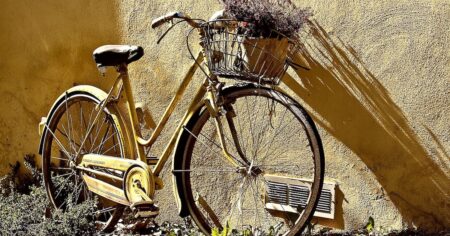 Staré kolo Favorit z vás může udělat boháče. Sběratelé nabízejí až 80 000 Kč, rozhoduje detail