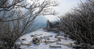 Stalin se rozhodl zachránit zemi od hladu, místo toho stvořil ostrov plný kanibalů