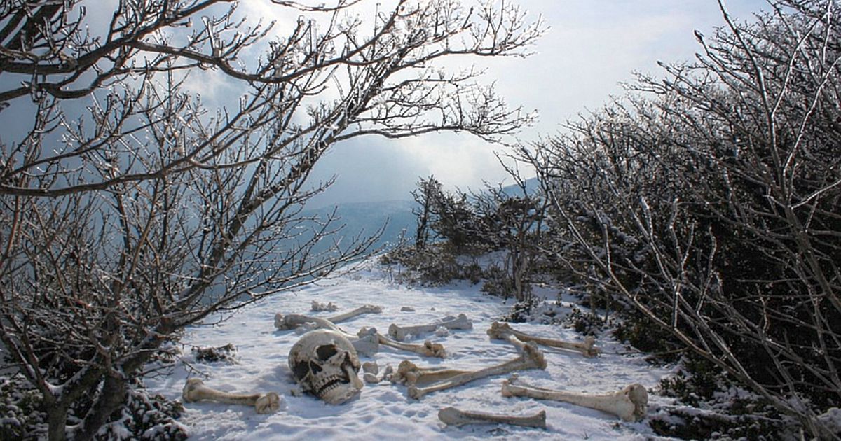 Stalin se rozhodl zachránit zemi od hladu, místo toho stvořil ostrov plný kanibalů